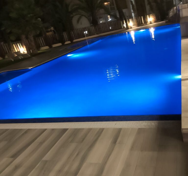 iscina nocturna